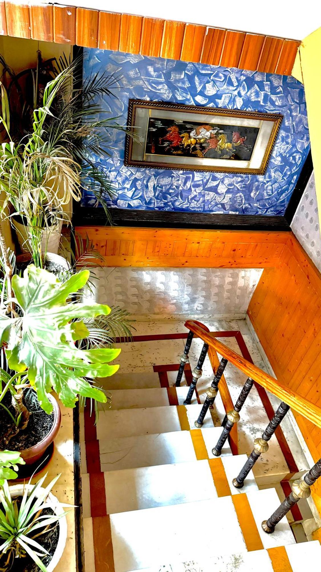 Hotel Apple Regency Shimla Exterior photo